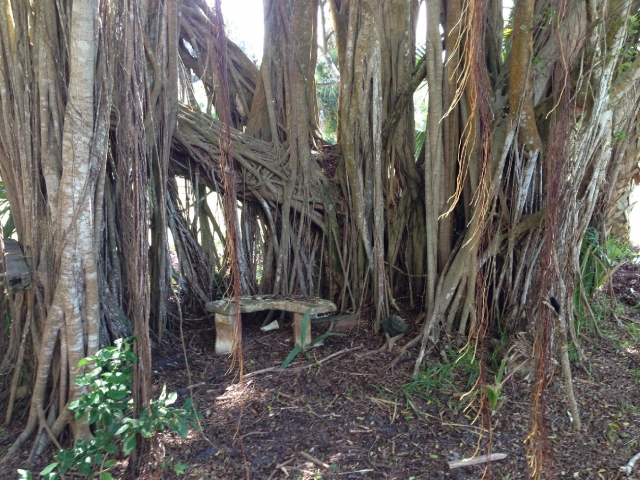 Banyan Estate Hidden Bench