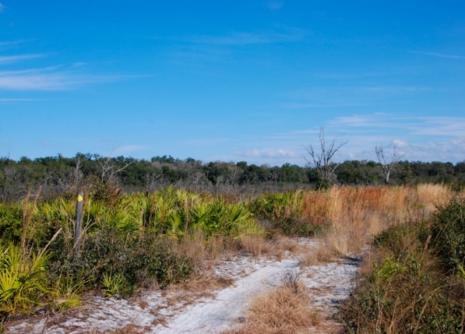 North Buck Lake Scrub Sanctuary Trail