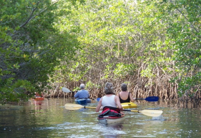 Oars & Paddles Park Kayaking