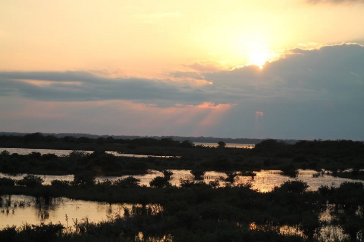 Black Point Wildlife Drive Sunrise