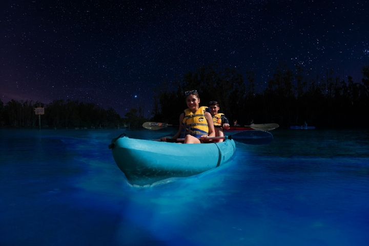 BK Adventure - Bioluminescence Kayak Tour