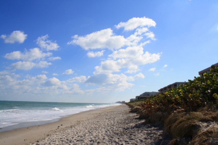 Seagull Park Beach