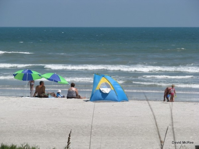 Sidney Fischer Park Relaxing on Beach