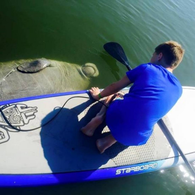 Sobe Surf & Standup Paddle Manatee viewing tours