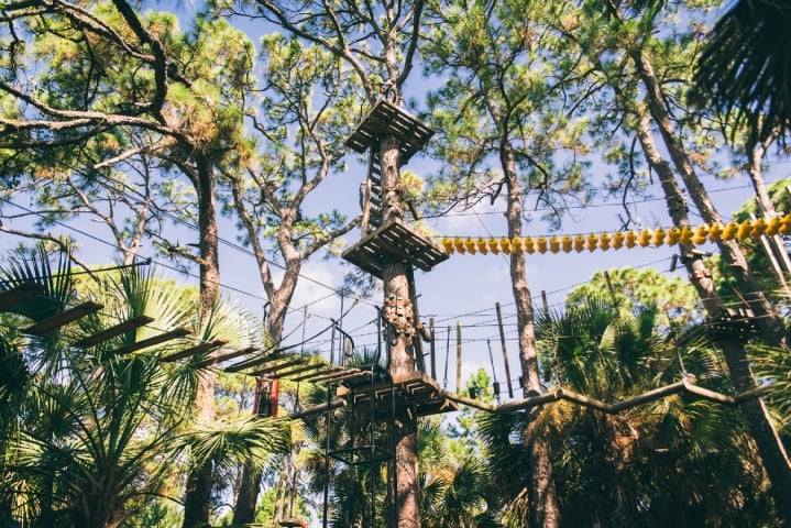 The Brevard Zoo's Treetop Trek Tree Top Walkways