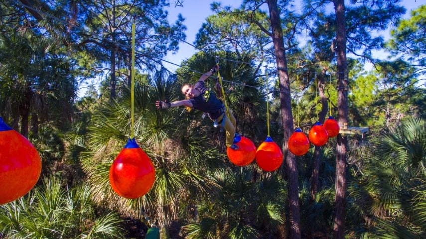 The Brevard Zoo's Treetop Trek Swinging from Balls