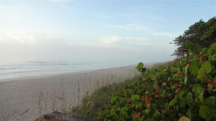 Howard E. Futch Memorial Park Beach 1