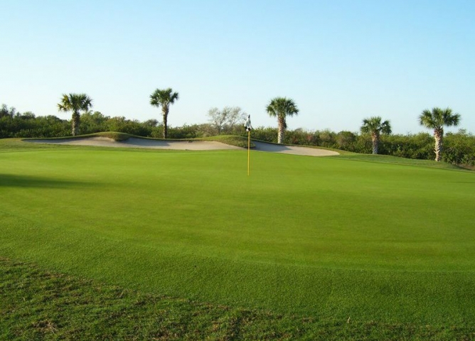 Viera East Golf Club Greens