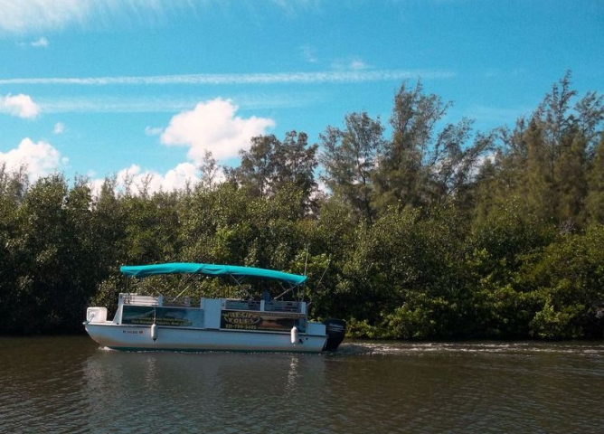 Wildside Tours Boat