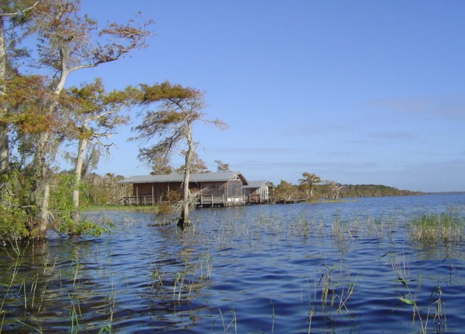 Bass Fishing at Stick Marsh Buildings in Background of Marsh