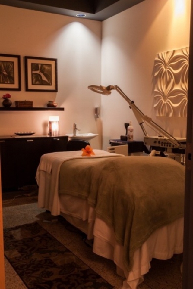 Imperial Spa & Salon Massage Chair
