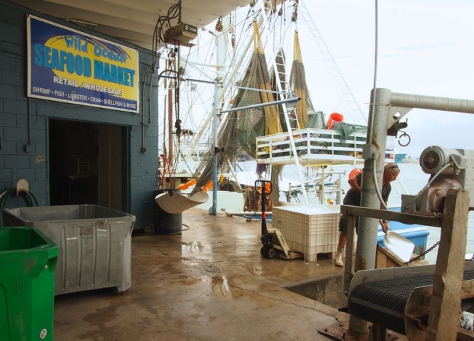 Wild Ocean Seafood Market - Port Canaveral Exterior