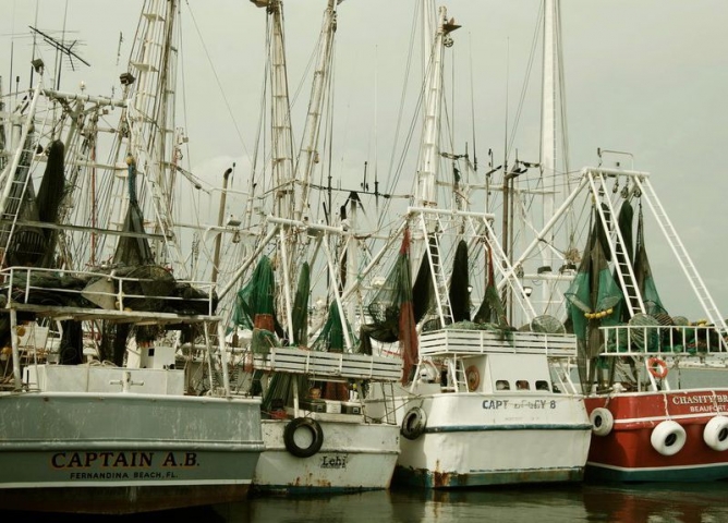 Wild Ocean Seafood Market - Port Canaveral ships