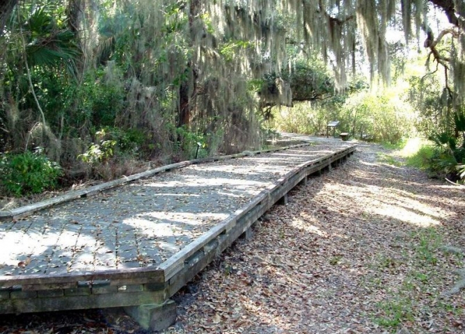 Canaveral National Seashore Boardwalk