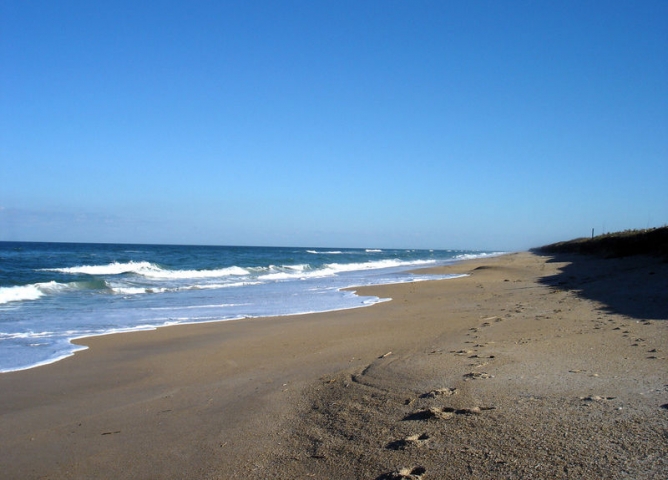 Canaveral National Seashore Beach