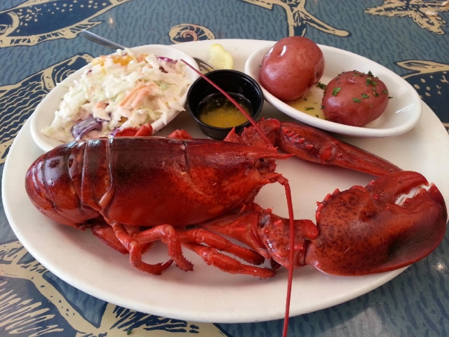 Shells of Melbourne Lobster