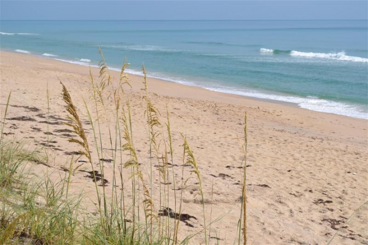 Barrier Island Sanctuary Beach 1