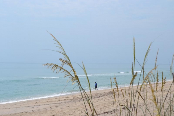 Barrier Island Sanctuary Beach 2