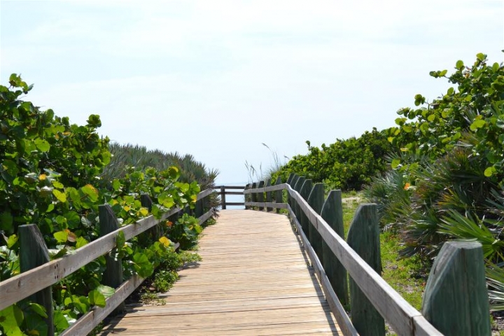 Canova Beach Park Beach Access