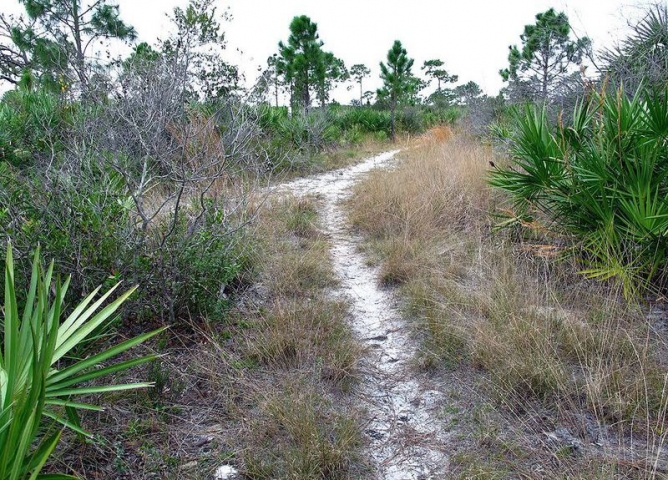 Jordan Scrub Sanctuary Trail 1