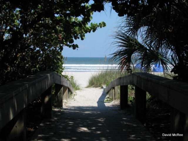 Cherie Down Park Beach Access