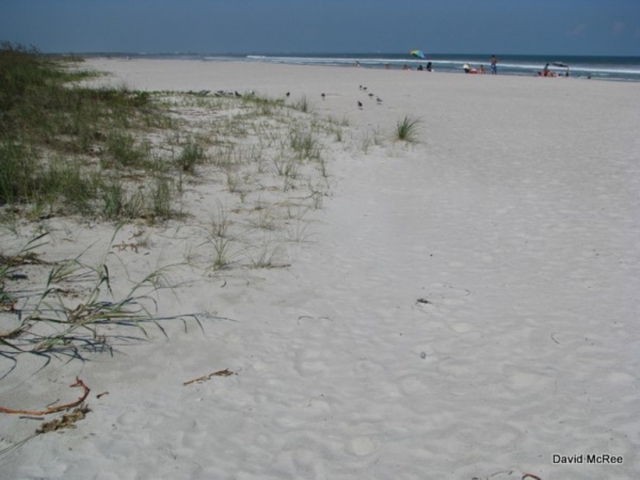 Cherie Down Park Beach