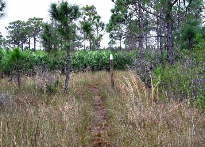 Jordan Scrub Sanctuary Trail 2