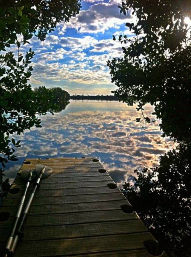 Cocoa Beach Kayaking Guided Nature Tours Dock with Kayak Paddles on it