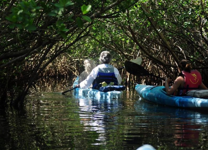 Kayaking through narrow mangroves in the Thousand Islands in Cocoa Beach