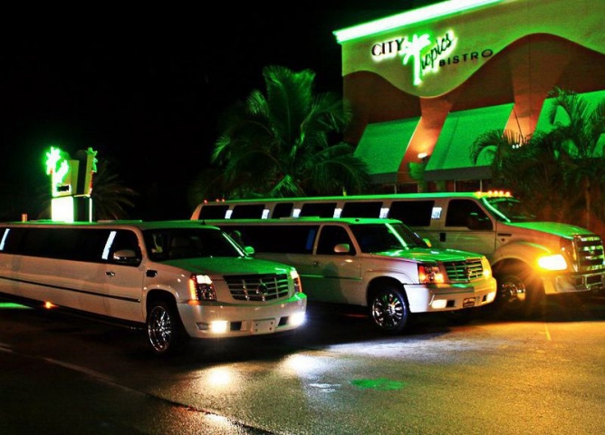 Hot Rayz Limousine Fleet