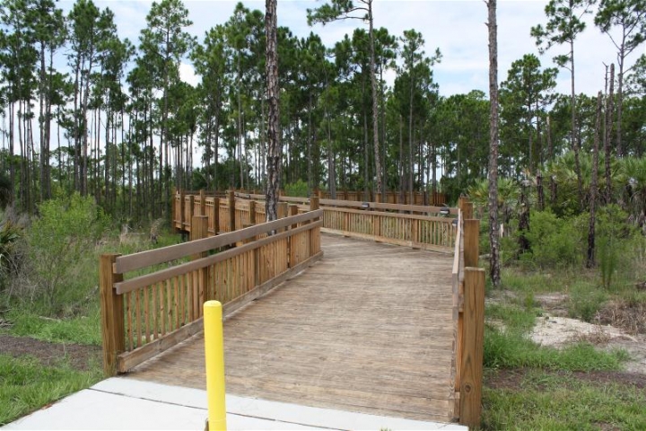 Coconut Point Park Boardwalk