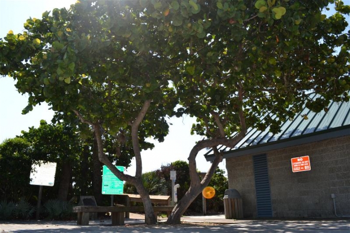 Coconut Point Park Building Exterior