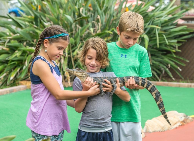 Golf N Gator!  Kids with Baby Gator