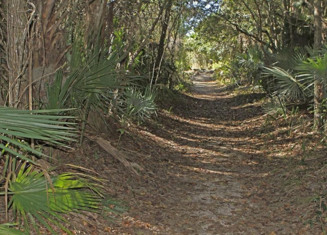 Enchanted Forest Unpaved Trail