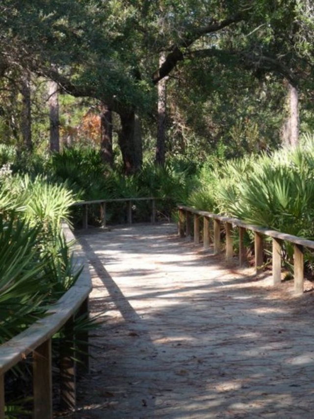 Erna Nixon Park Trail