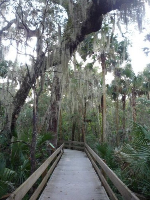 Erna Nixon Park Wooden Trail