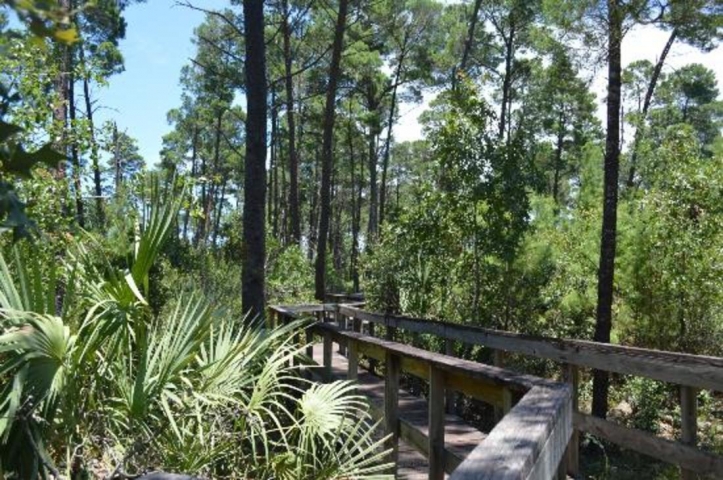 Turkey Creek Sanctuary Trail