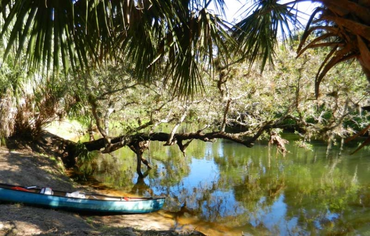 Turkey Creek Sanctuary Kayak on Land