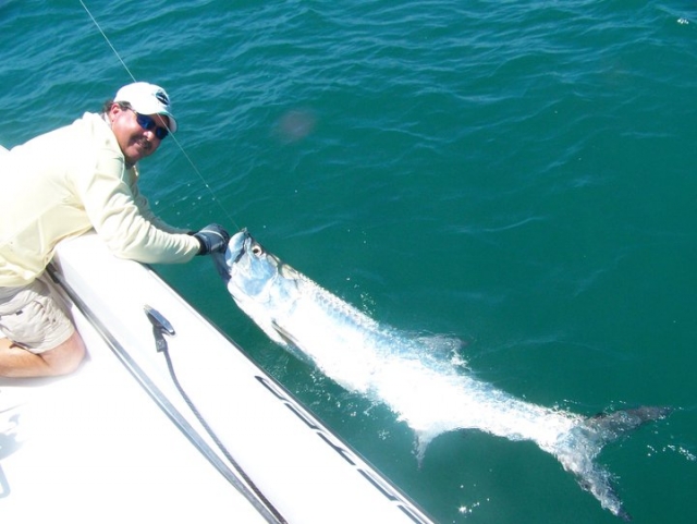 FineLine Charters w/ Capt. Jim Ross Hauling Catch in