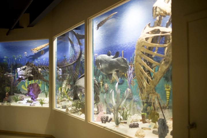 Museum of Dinosaurs & Ancient Cultures Underwater Exhibit
