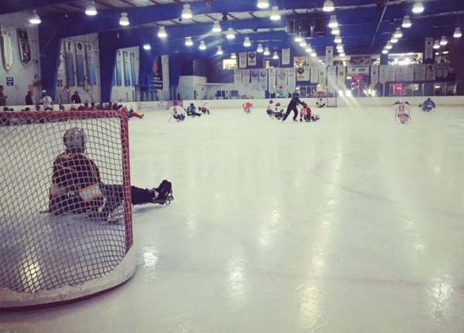 Space Coast Iceplex Sledge Hockey