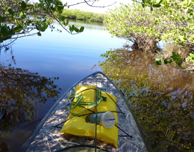 All Water Adventures Kayak Near Mangroves
