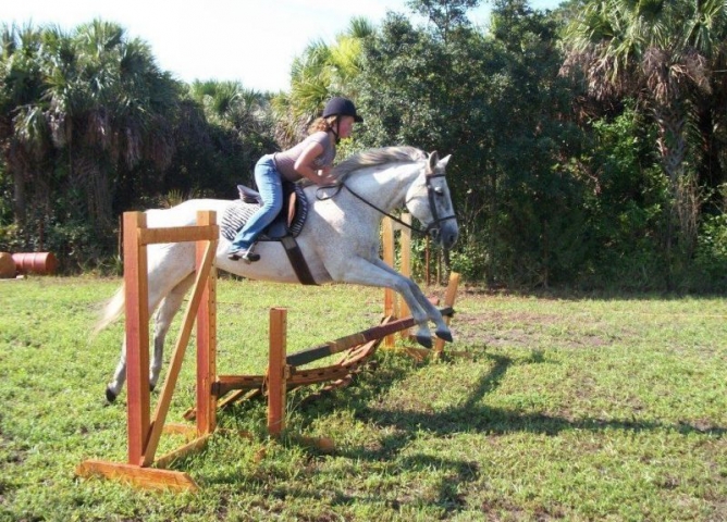 Desert Acres Stables Jumping Obstacle with Horse