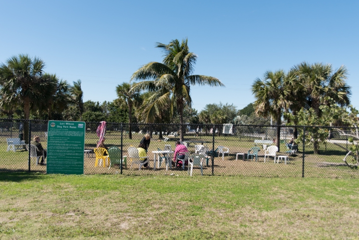 Lori Wilson Park Outdoor Seating