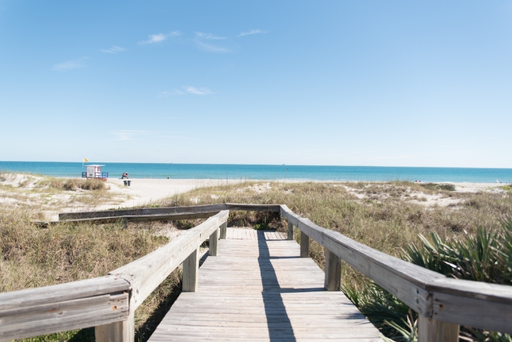 Lori Wilson Park Boardwalk