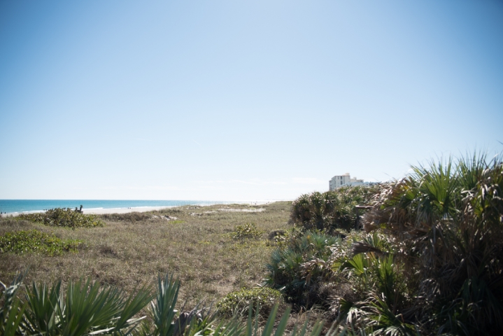 Lori Wilson Park Beach View