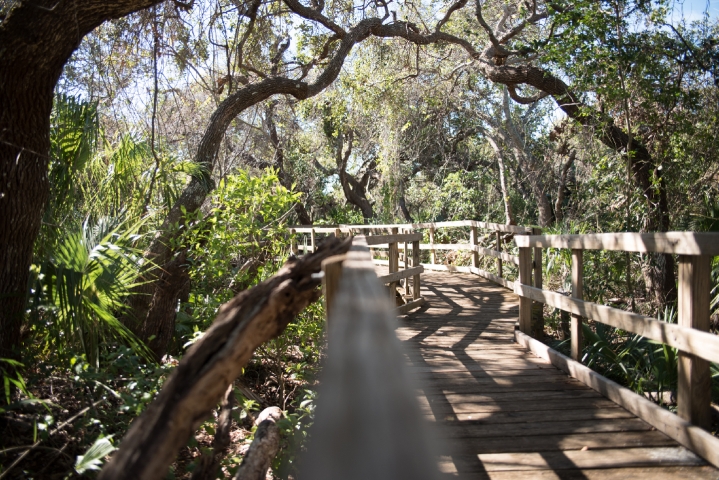 Lori Wilson Park Boardwalk 2