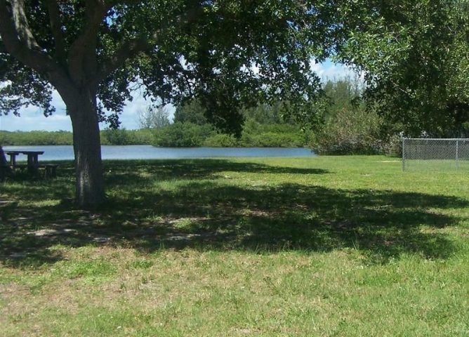 Cove Park Grassy Area