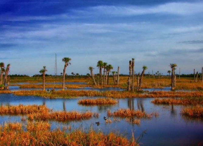 Ritch Grissom Memorial Wetlands