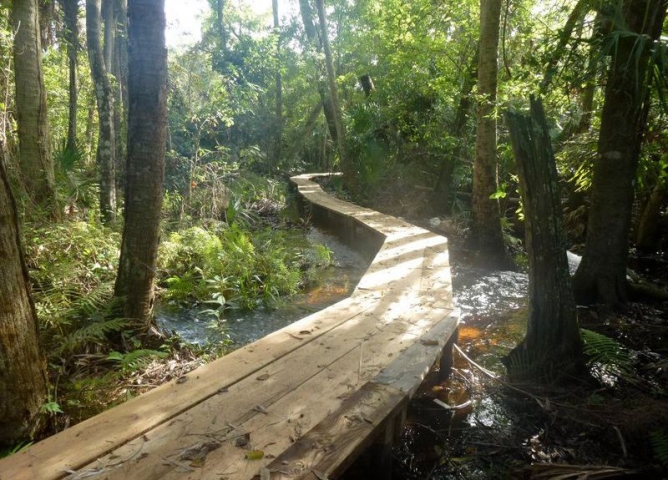 Malabar Scrub Sanctuary Trail 1